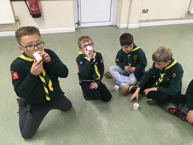 Young Cubs and Beavers Discover the Joy of Apples in New Romney